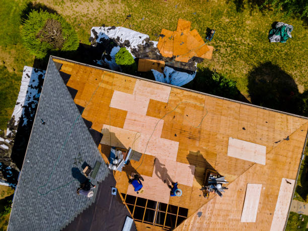 Best Roof Replacement Cost  in Double Springs, AL