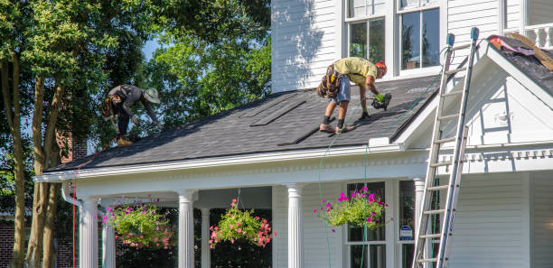 Best Residential Roof Replacement  in Double Springs, AL